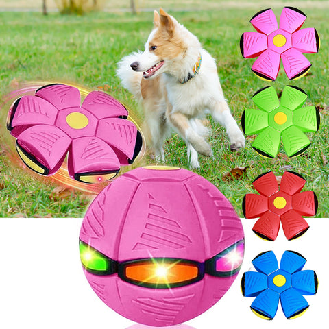 Brinquedo para animais de estimação Bola de disco voador para cães com luz