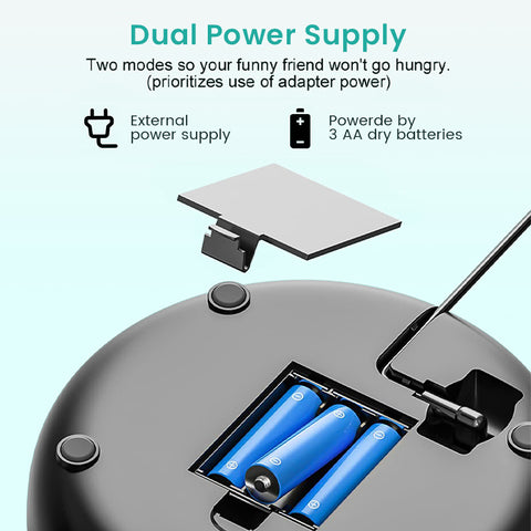 Alimentador automático temporizado de 4L para gatos e cães