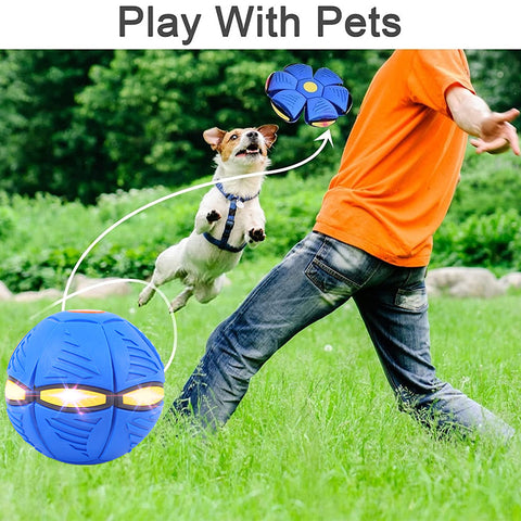 Brinquedo para animais de estimação Bola de disco voador para cães com luz